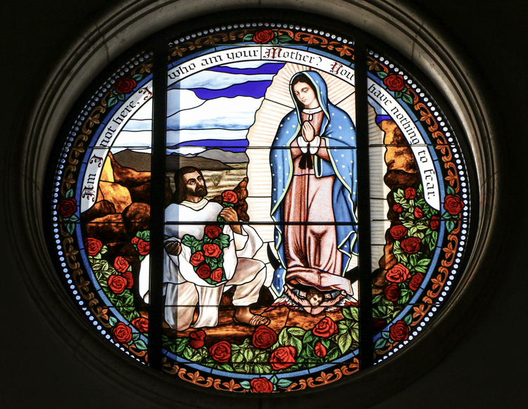 The Miraculous Flowers of the Virgin of Guadalupe