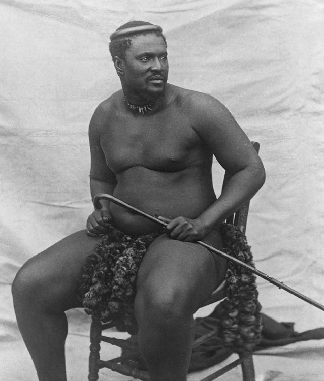 King Cetshwayo