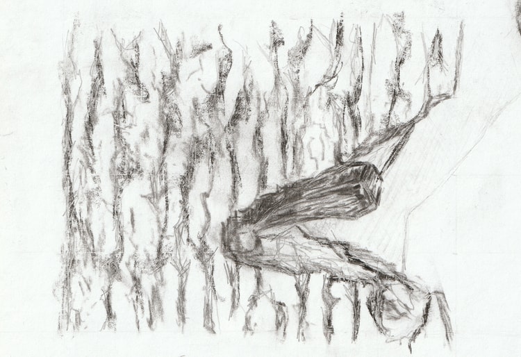 Functional Wood Selection