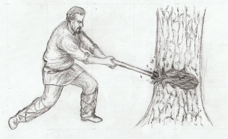 Searching for Curved Timber