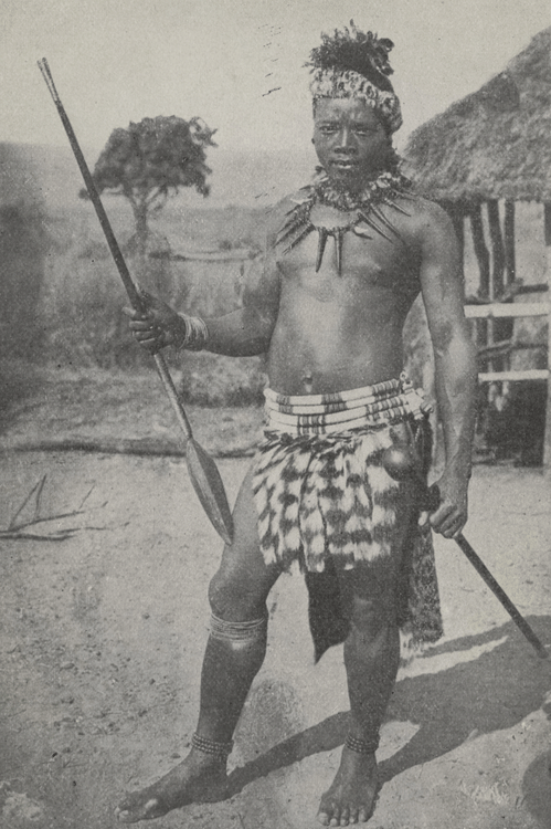 Zulu Warrior