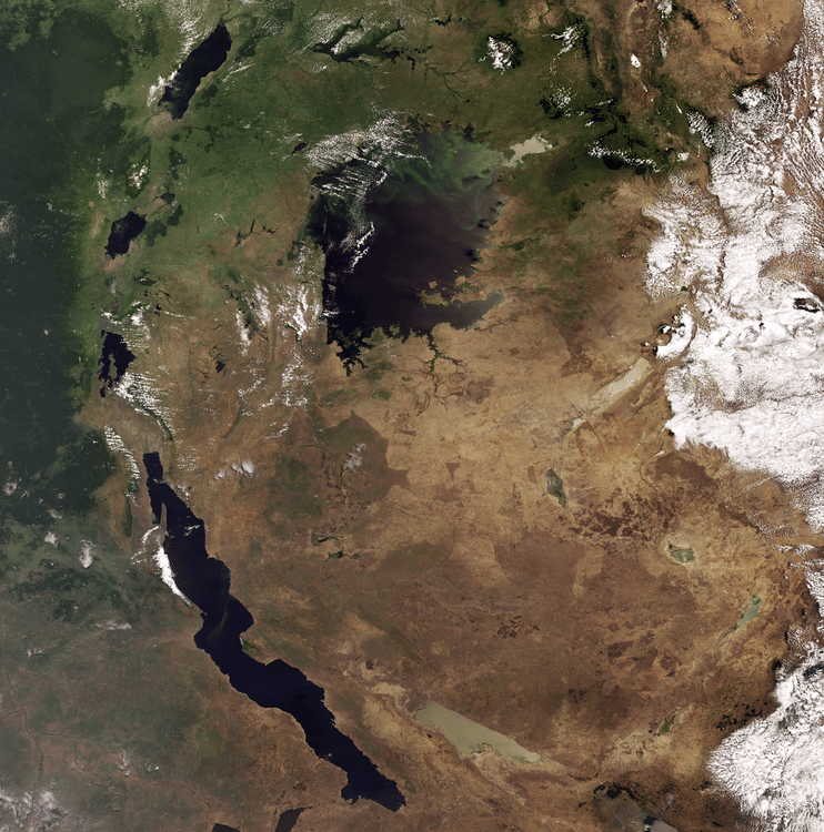 Satellite Image of Africa's Great Lakes