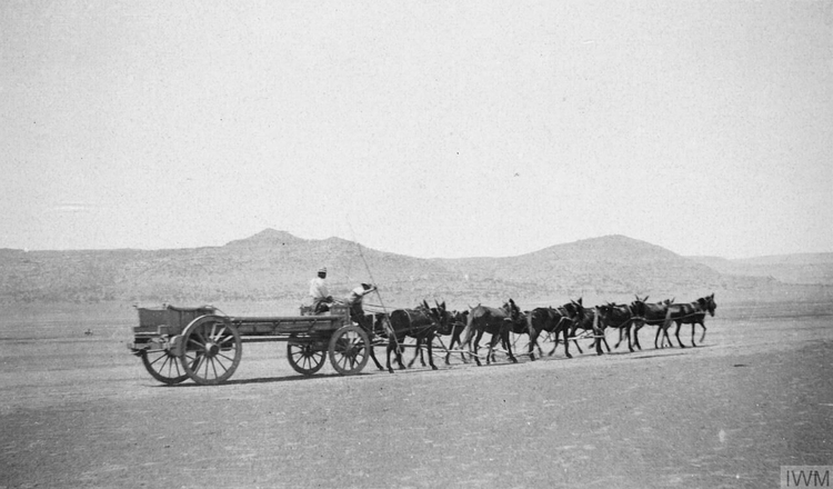 Wagon, Boer War