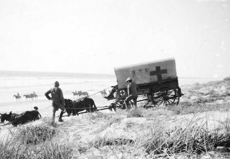 Ambulance Wagon, Boer War