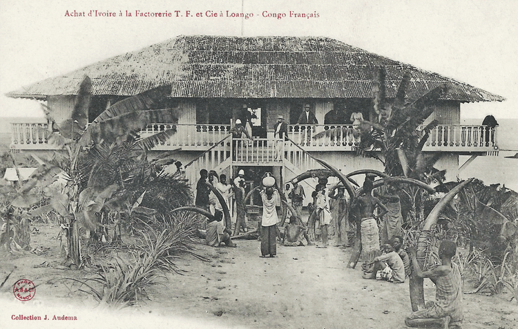 Ivory Trading Station, French Congo