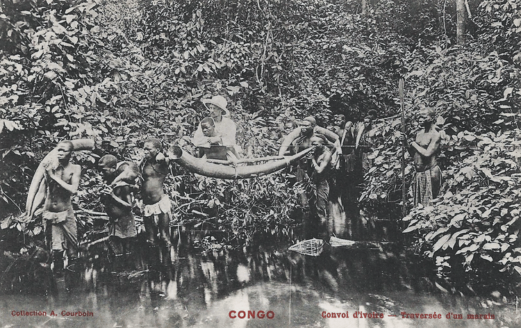 Ivory & the Colonization of Africa