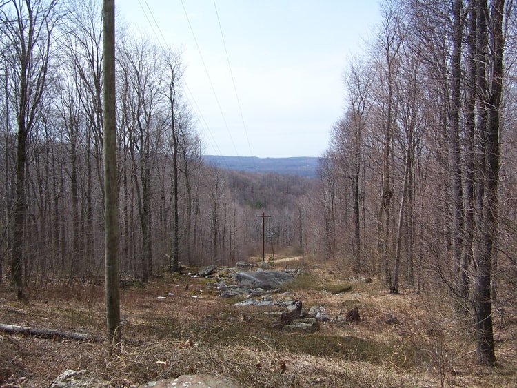 Battle of Rich Mountain: The Victory That Created an Army