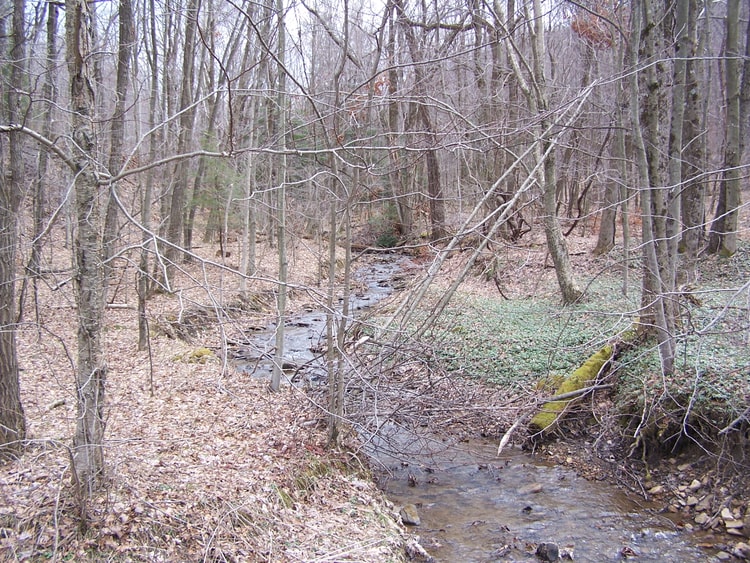 Camp Garnett, Part of the Battle of Rich Mountain