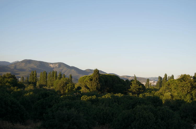 Mount Ida