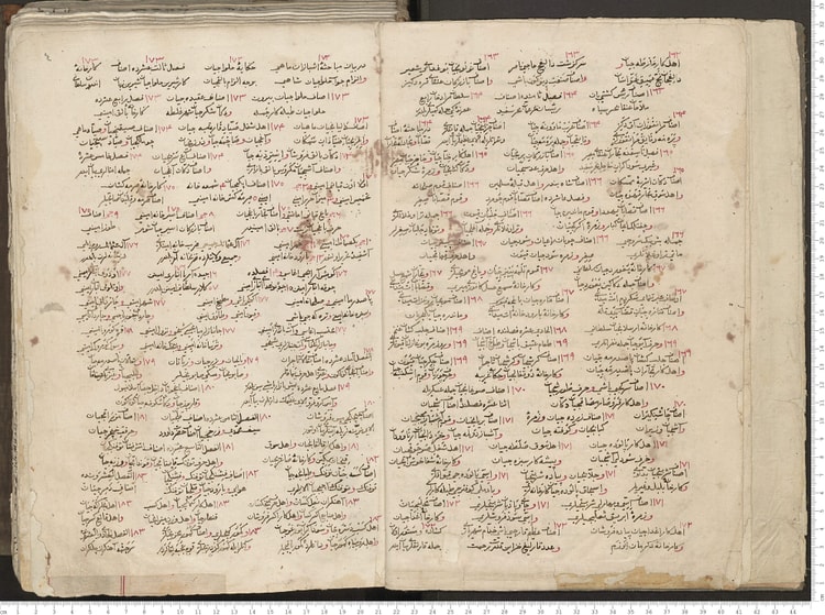 Seyahatnâme (Book of Travels)