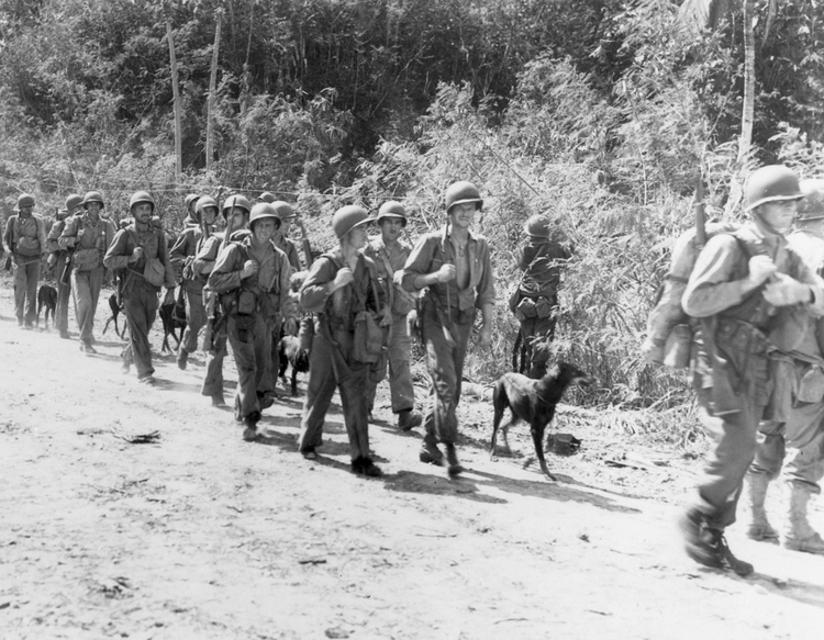 US Marines & Dogs, Guam