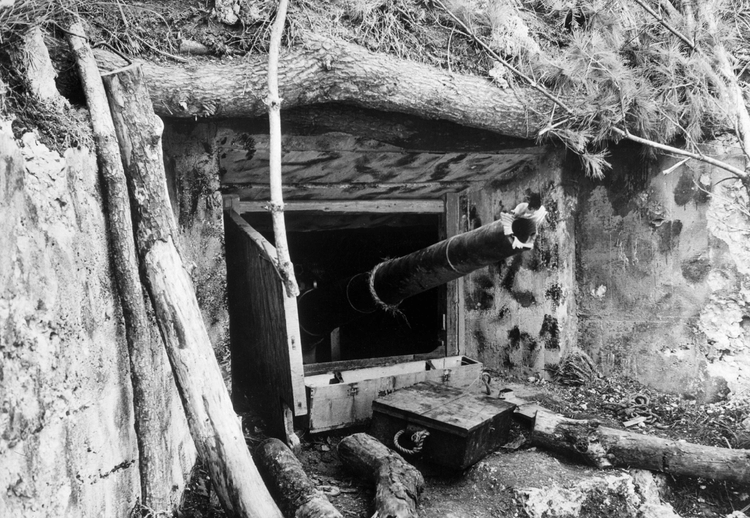 Japanese Gun Position, Okinawa