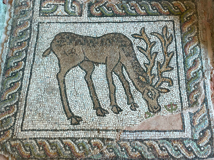 Deer Mosaic from the Small Basilica of Philippopolis
