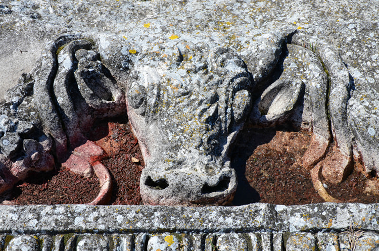 Bull's Head Architectural Decoration from Ulpia Oescus