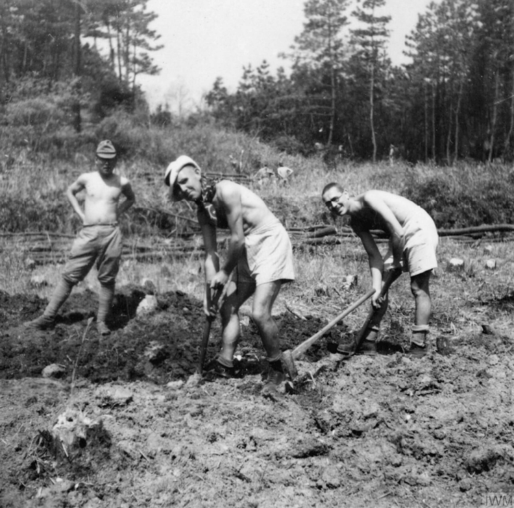 Allied POWS in Japan