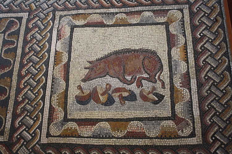 Wild Boar, Roman Mosaic