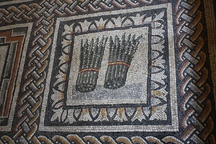 Asparagus, Roman Mosaic