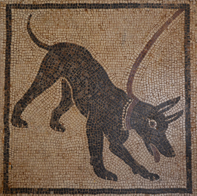 Cave Cavem mosaic from Pompeii