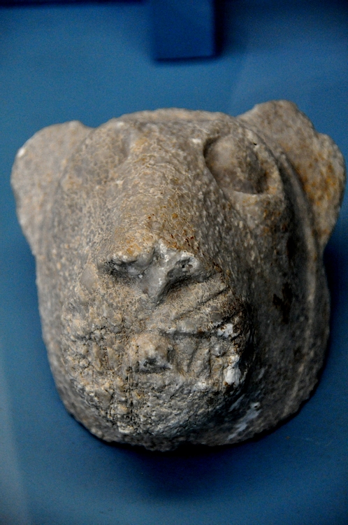 An Inscribed Head of a Lioness