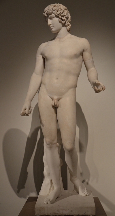 The Antinous Farnese
