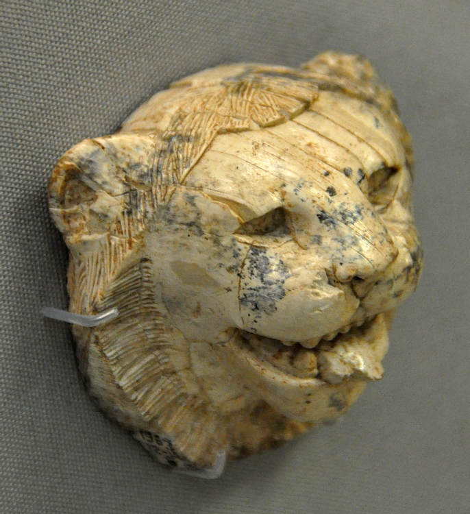 Ivory Head of a Lion from Nimrud