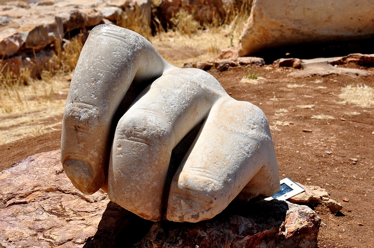 Hercules' Hand