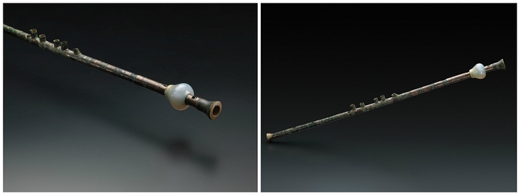 Tibia