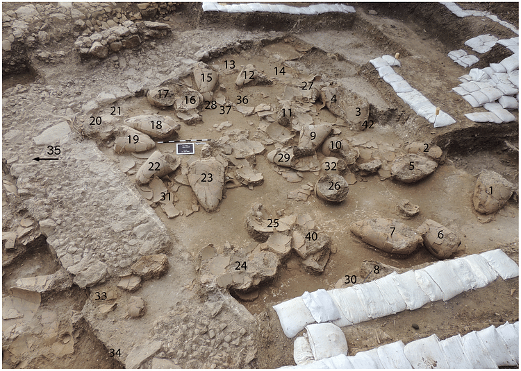 2013 image of labelled wine jars in first Tel Kabri wine cellar towards the southeast