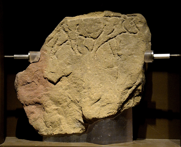 Carved Stone Showing an Ox