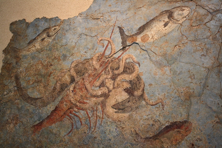 Roman Sea Fauna Fresco