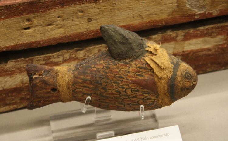 Egyptian Fish Coffin