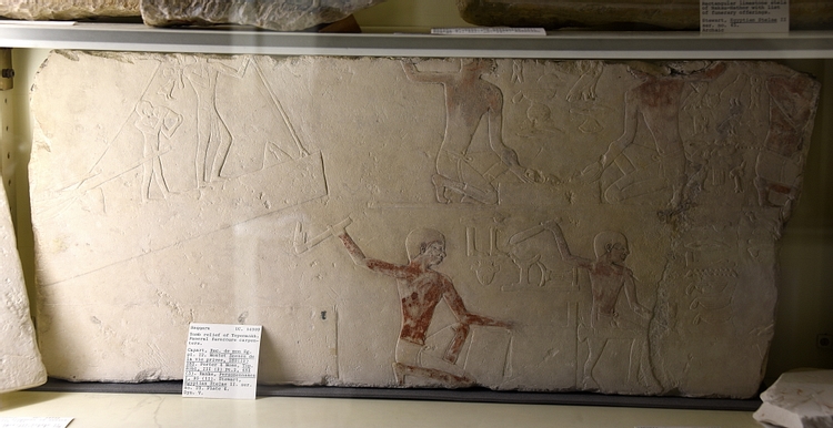 Fragment from the tomb of Tepemankh (Djadjamankh)
