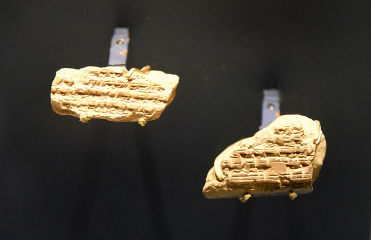 Additional Fragments of the Cyrus Cylinder Text