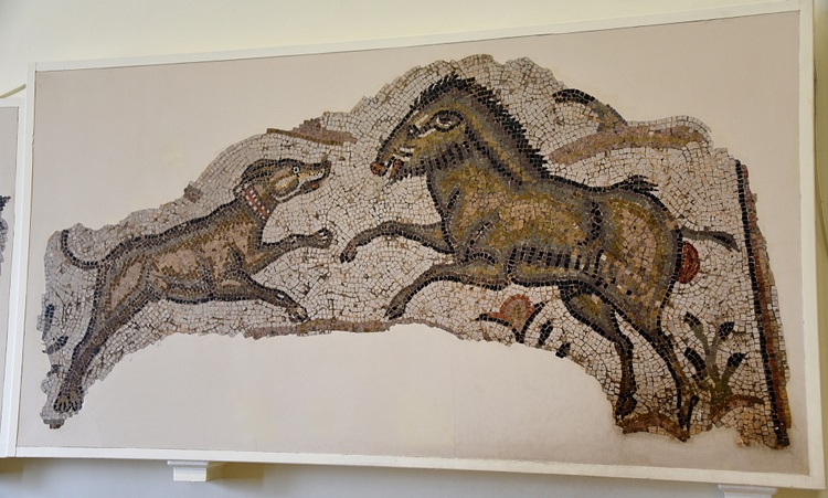 Hunting Mosaic, Carthage