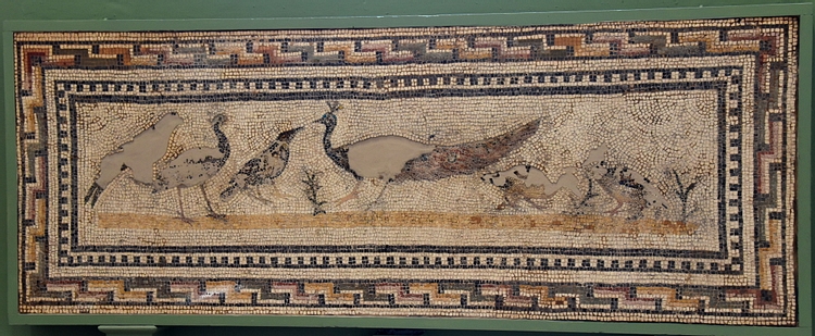 Peacock Mosaic, Utica