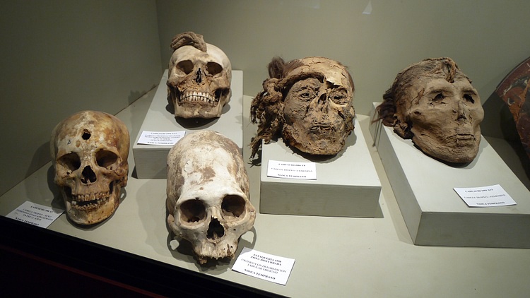 Mummy Skulls, Cahuachi