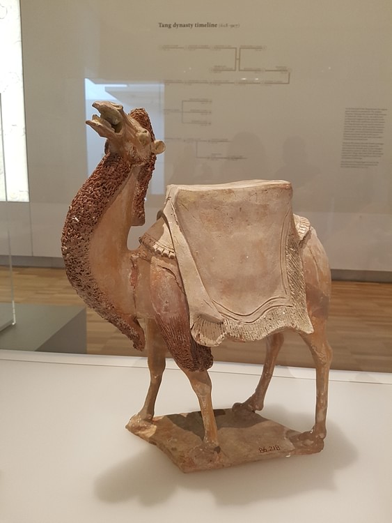 Tang Dynasty Earthenware Camel