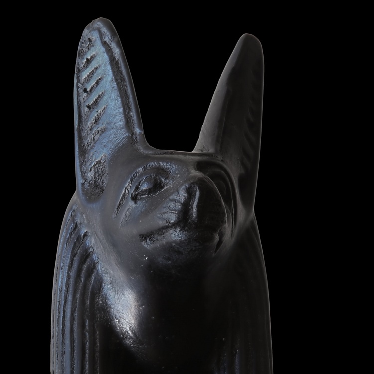 Anubis God of Lost Souls