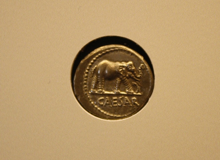 Coin of Julius Caesar with Elephant