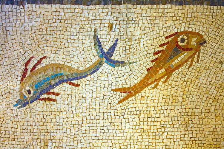 Roman Fish Mosaic, Tarraco