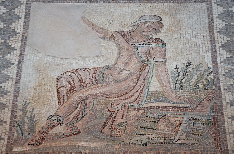 Narcissus Mosaic