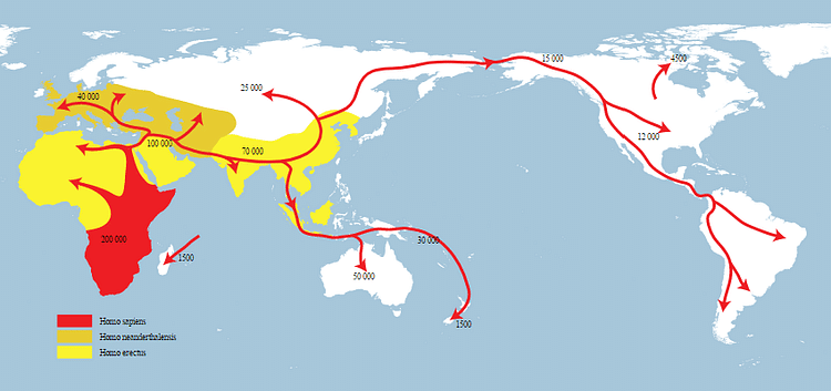Map of Homo Sapiens Migration