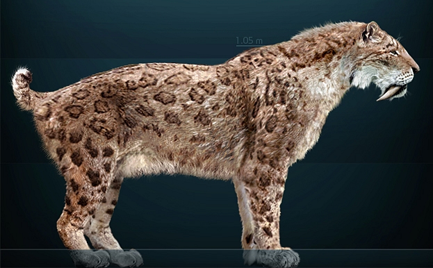Sabre-toothed Cat Smilodon fatalis