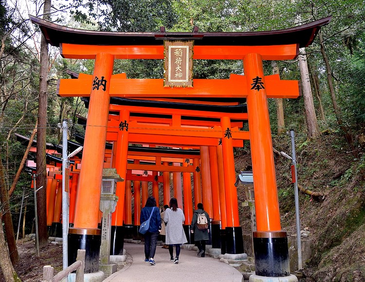 Torii, Fujiwara Inari Shrine