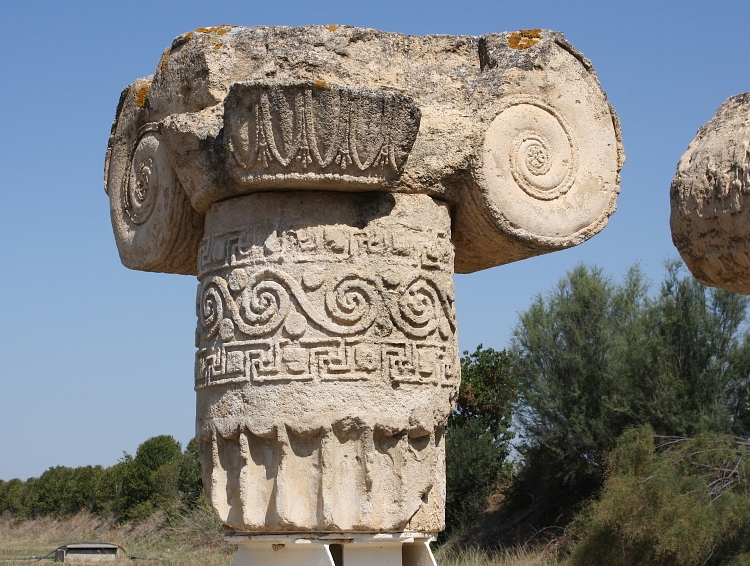 Ionic Capital, Metapontum