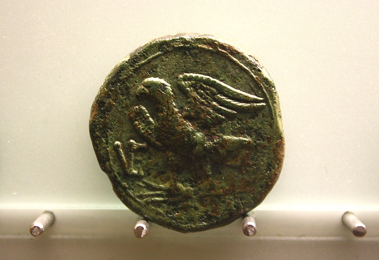 Bronze Coin, Venusia