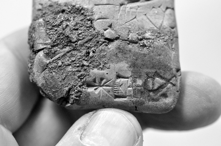 Illegally Excavated Mesopotamian Clay Tablet [5]
