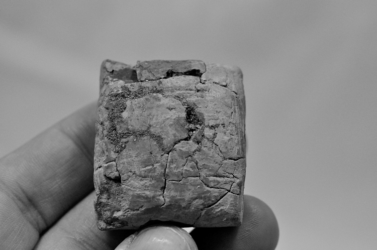 Illegally Excavated Mesopotamian Clay Tablet [2]