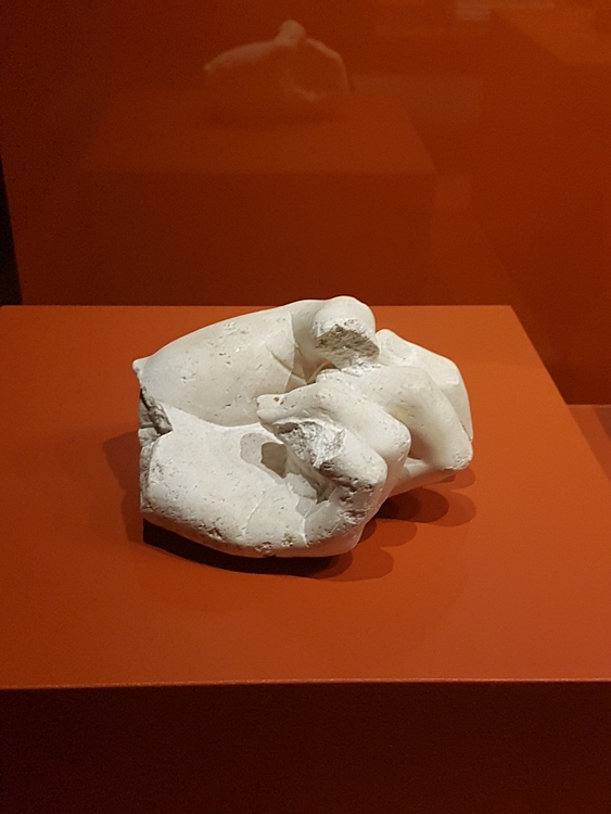 Hand from A Roman Sculptor's Model