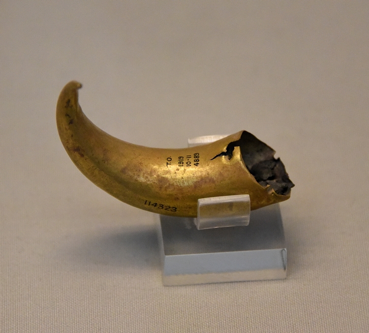 Gold Horn from Tell Al-Ubaid
